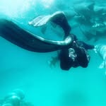 Ibrahim Shareef - @ibrahimshareef1234 - Instagram