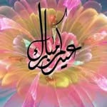Ibrahim Shareef - @ibrahimshareef313 - Instagram