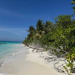 Ibrahim Shareef - @sharyibbe - Instagram