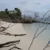 Ibrahimshareef Ibrahimshareef - @ibrahimshareef.ib - TikTok