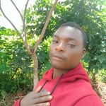 Ibrahim Wilson - @ibrahimwilson5 - Instagram