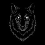 Ibrahim wolf - @wolf_ibrahim61 - Instagram