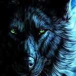 🇸🇱⚡IBROHIM⚡🇸🇱 - @ibrahim_wolf6 - Instagram