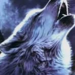 Mohammed Ibrahim Wolf - Facebook