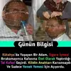 Ibrahim Yucel - @ibrahimyucel043 - TikTok