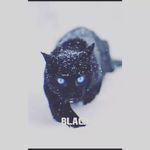 Ibrar_Gillani - @ibrar_____shah - Instagram