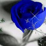 Ibsa Umar - @uibsa - Instagram