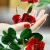 Ida Alvarez - Facebook
