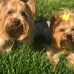 Ida Amos - Facebook