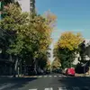 Ida bauer - @ida_bauer - TikTok