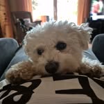 ida Becker - @idabecker2024 - Instagram