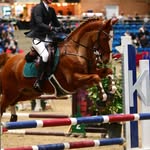 Ida Berg Steffensen - @ida_bs_showjumping - Instagram