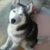 idabernardelli - @idabernardelli - TikTok