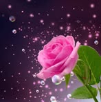 Ida Blank - Facebook