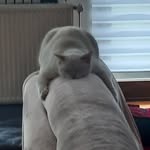 boscolo ida - @boscolo_ida - Instagram