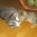Ida Bourgeois - Facebook