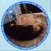 Ida Lyn Bryan - Facebook