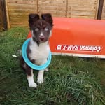 Ida Buckley - @idabuckley66 - Instagram
