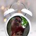 Ida Coetzee - Facebook
