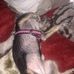 Ida Dotson - Facebook