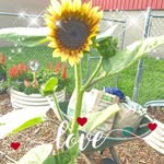 Ida Fleming - @ida.fleming.754 - Instagram