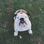 @allegra_forrest_ida - Instagram