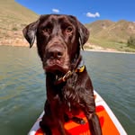 @idaho.forrest - Instagram