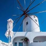 Susan Mcdonalid 480 - @idafreeman_790054 - Instagram