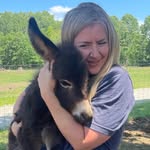 Heather Cartwright - @idahogallowaycattle - Instagram