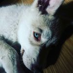 Ida Gee - @ida_giss - Instagram