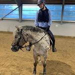 Ida Hardy - @gymnastik.hast_ida - Instagram