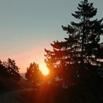 Ida Hauser - @idl_010 - Instagram