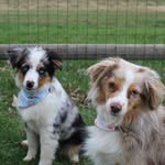 🥜Hazel & Ida🥔 - @_hazel_ida_ - Instagram