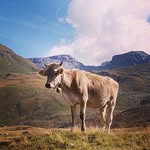 Ida - @ida_hazel_nut - Instagram