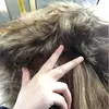 idahedlund - @idahedlund - TikTok