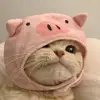 🤍 - @lexiidahood - TikTok