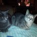 Ida Hicks - Facebook