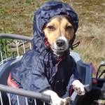Ida-Andrea Jansen - @dunyajackrussel - Instagram