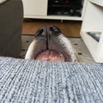 Ida Jespersen - @anyholmes - Instagram