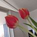 Ida Jespersen - Facebook