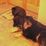 Ida & Keith Martin - @idakeithmartin2102 - Instagram