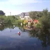 Ida Know-Ee - @ida.knowee - TikTok