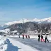 idakramer66 - @idakramer66 - TikTok