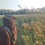 Ida Krause - @idakrause98 - Instagram