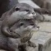idalarkin3 - @idalarkin3 - TikTok