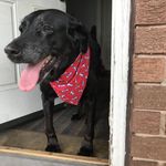 Idalynn Laughlin - @idalynnlaughlin - Instagram