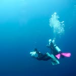 ida - @idalep - Instagram