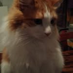 Ida Leone - @ileone2000 - Instagram