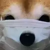 fuguifafa - @idamalone48 - TikTok