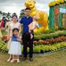 Ida Manning - Facebook